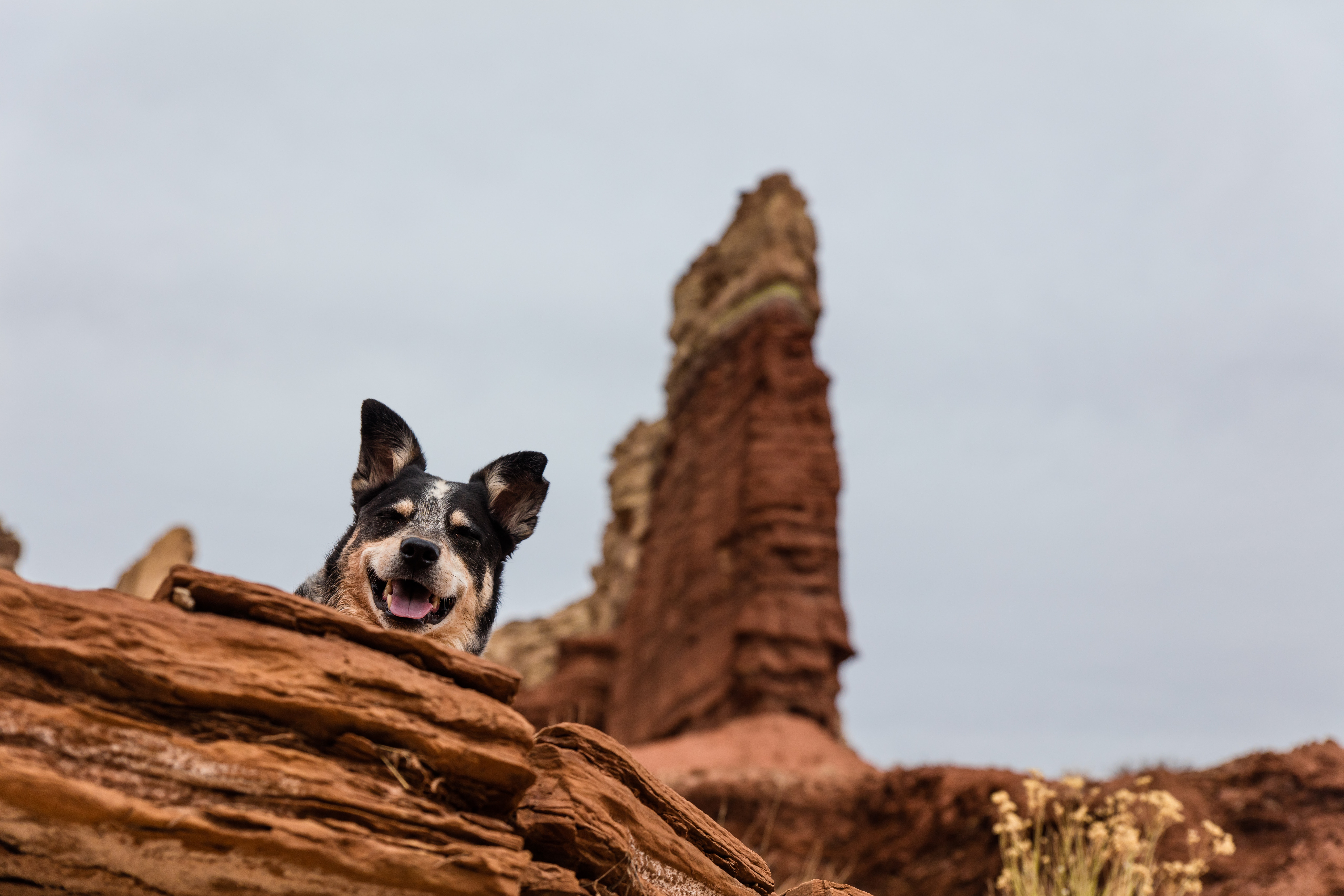 patrick-hendry-607492-unsplash